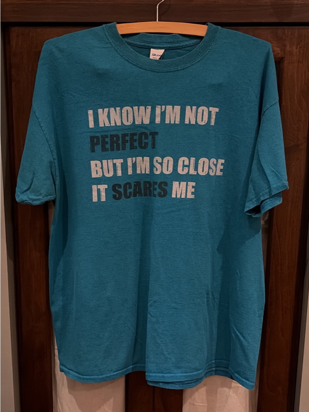 Gildan Graphic T-Shirt "I Know I'm Not Perfect"